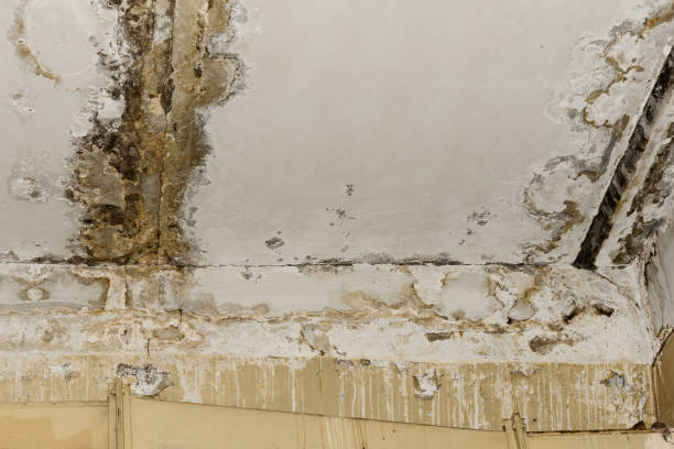 Best Emergency water damage restoration  in Minoa, NY